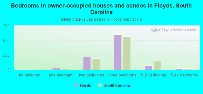 Bedrooms in owner-occupied houses and condos in Floyds, South Carolina