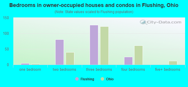 Bedrooms in owner-occupied houses and condos in Flushing, Ohio