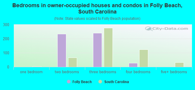 Bedrooms in owner-occupied houses and condos in Folly Beach, South Carolina