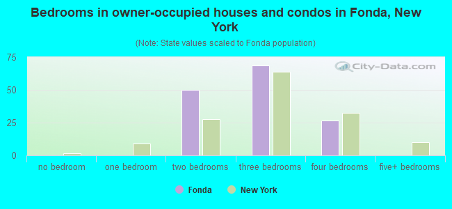 Bedrooms in owner-occupied houses and condos in Fonda, New York
