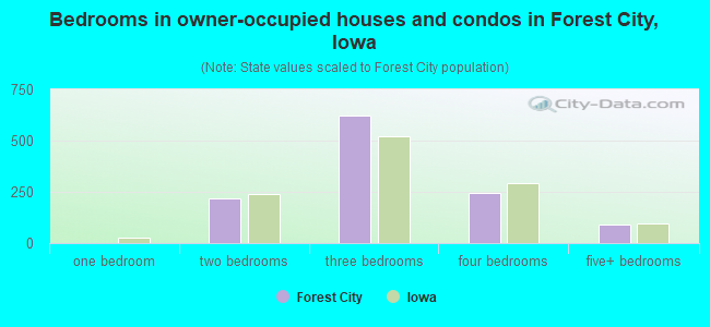 Bedrooms in owner-occupied houses and condos in Forest City, Iowa