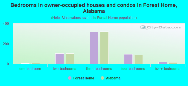 Bedrooms in owner-occupied houses and condos in Forest Home, Alabama