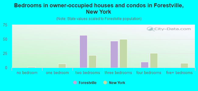 Bedrooms in owner-occupied houses and condos in Forestville, New York