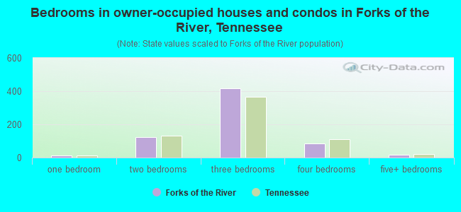 Bedrooms in owner-occupied houses and condos in Forks of the River, Tennessee