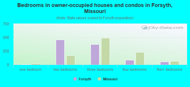 Bedrooms in owner-occupied houses and condos in Forsyth, Missouri