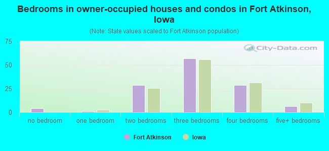 Bedrooms in owner-occupied houses and condos in Fort Atkinson, Iowa