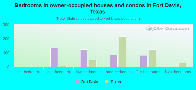 Bedrooms in owner-occupied houses and condos in Fort Davis, Texas