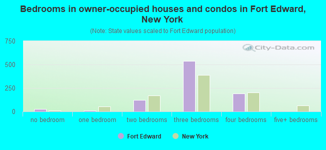 Bedrooms in owner-occupied houses and condos in Fort Edward, New York