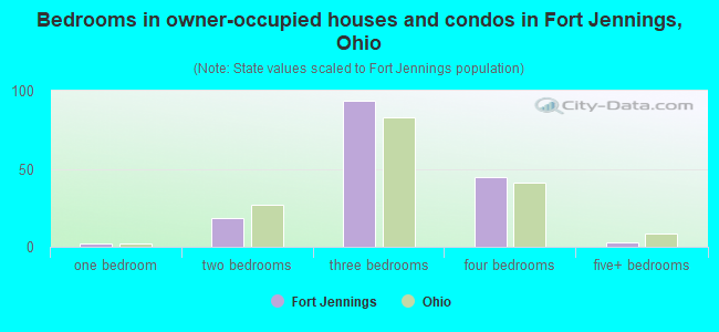 Bedrooms in owner-occupied houses and condos in Fort Jennings, Ohio