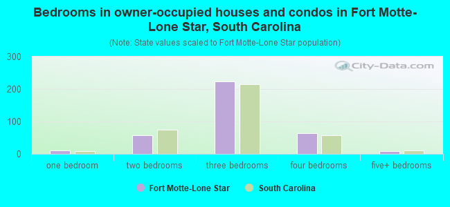 Bedrooms in owner-occupied houses and condos in Fort Motte-Lone Star, South Carolina
