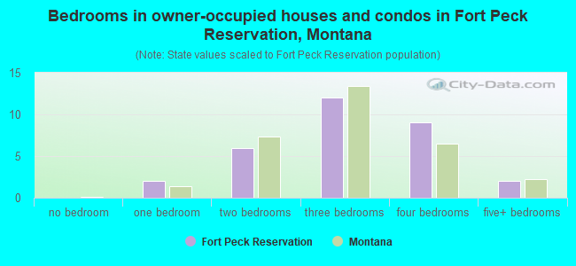 Bedrooms in owner-occupied houses and condos in Fort Peck Reservation, Montana