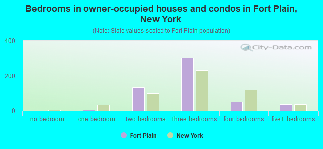 Bedrooms in owner-occupied houses and condos in Fort Plain, New York