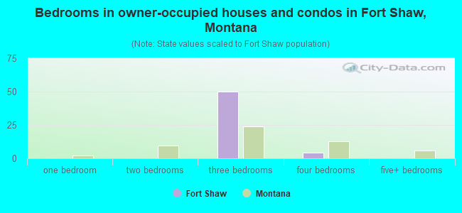 Bedrooms in owner-occupied houses and condos in Fort Shaw, Montana