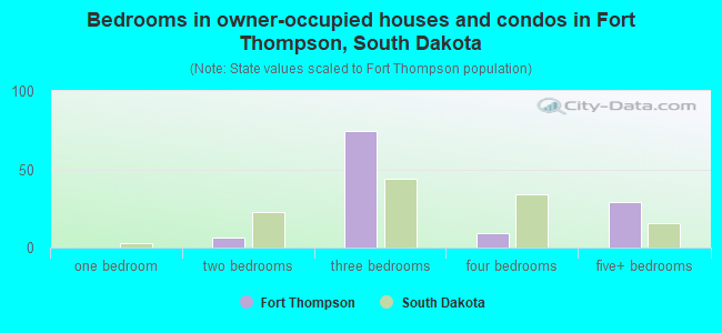 Bedrooms in owner-occupied houses and condos in Fort Thompson, South Dakota