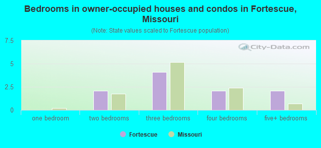 Bedrooms in owner-occupied houses and condos in Fortescue, Missouri