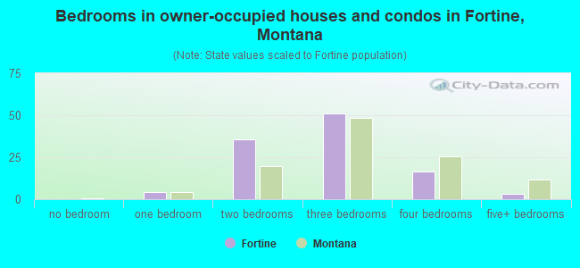 Bedrooms in owner-occupied houses and condos in Fortine, Montana