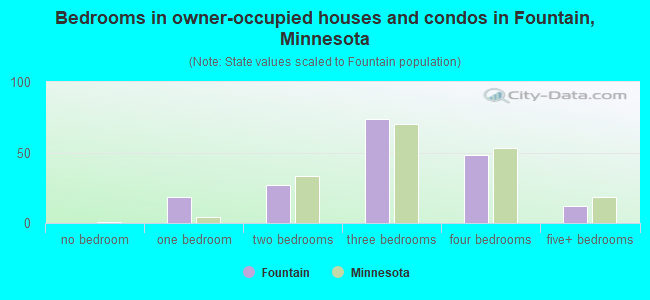 Bedrooms in owner-occupied houses and condos in Fountain, Minnesota