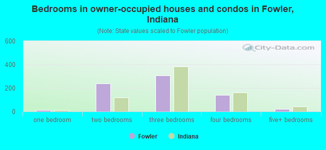 Bedrooms in owner-occupied houses and condos in Fowler, Indiana