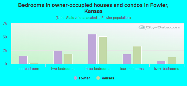 Bedrooms in owner-occupied houses and condos in Fowler, Kansas