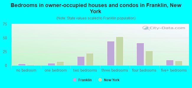 Bedrooms in owner-occupied houses and condos in Franklin, New York