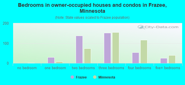 Bedrooms in owner-occupied houses and condos in Frazee, Minnesota