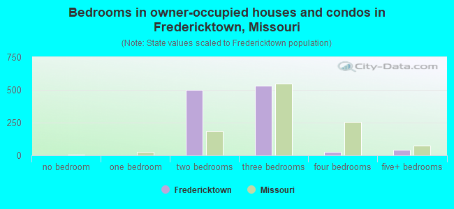 Bedrooms in owner-occupied houses and condos in Fredericktown, Missouri