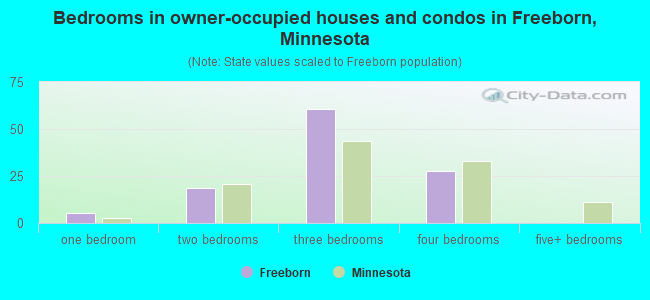 Bedrooms in owner-occupied houses and condos in Freeborn, Minnesota