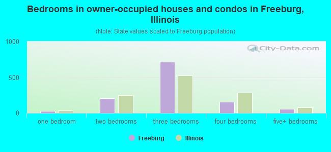 Bedrooms in owner-occupied houses and condos in Freeburg, Illinois