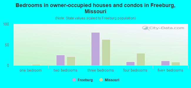 Bedrooms in owner-occupied houses and condos in Freeburg, Missouri