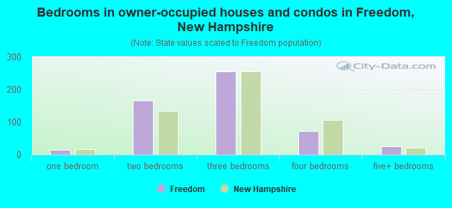 Bedrooms in owner-occupied houses and condos in Freedom, New Hampshire