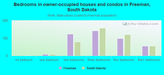 Bedrooms in owner-occupied houses and condos in Freeman, South Dakota