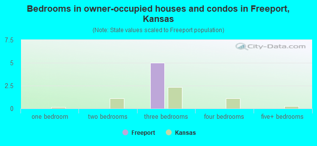 Bedrooms in owner-occupied houses and condos in Freeport, Kansas