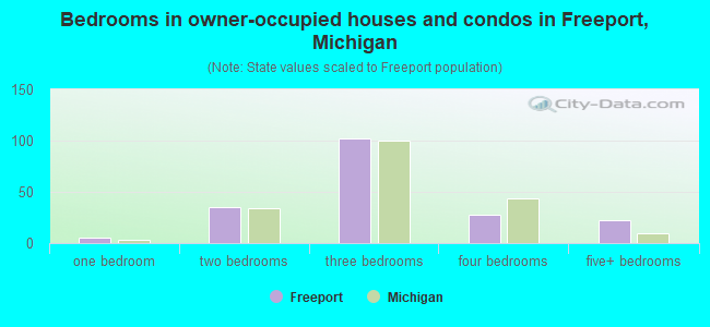 Bedrooms in owner-occupied houses and condos in Freeport, Michigan