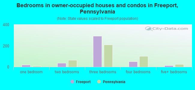 Bedrooms in owner-occupied houses and condos in Freeport, Pennsylvania