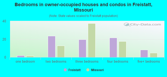 Bedrooms in owner-occupied houses and condos in Freistatt, Missouri