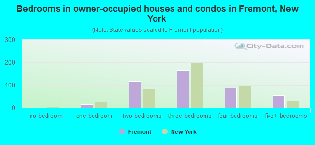 Bedrooms in owner-occupied houses and condos in Fremont, New York