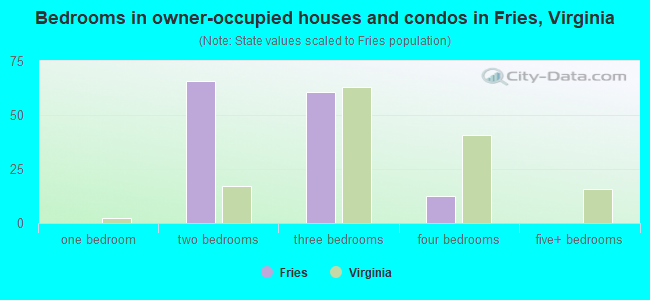 Bedrooms in owner-occupied houses and condos in Fries, Virginia