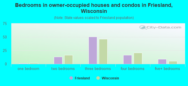 Bedrooms in owner-occupied houses and condos in Friesland, Wisconsin