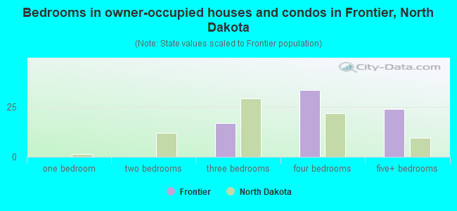 Bedrooms in owner-occupied houses and condos in Frontier, North Dakota