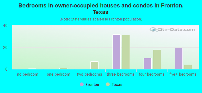 Bedrooms in owner-occupied houses and condos in Fronton, Texas