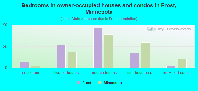 Bedrooms in owner-occupied houses and condos in Frost, Minnesota