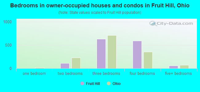 Bedrooms in owner-occupied houses and condos in Fruit Hill, Ohio