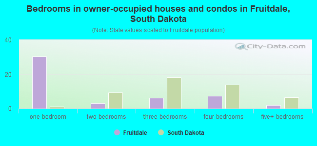 Bedrooms in owner-occupied houses and condos in Fruitdale, South Dakota