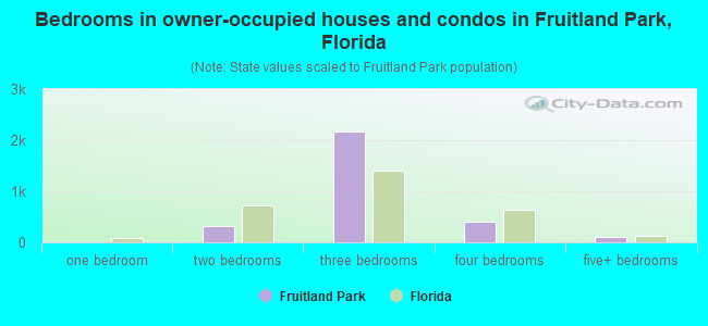 Bedrooms in owner-occupied houses and condos in Fruitland Park, Florida