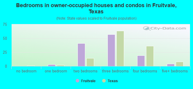Bedrooms in owner-occupied houses and condos in Fruitvale, Texas