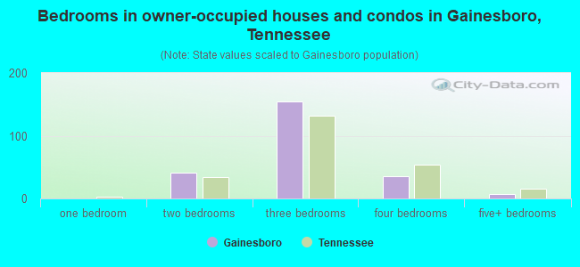 Bedrooms in owner-occupied houses and condos in Gainesboro, Tennessee