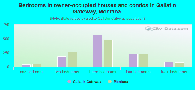 Bedrooms in owner-occupied houses and condos in Gallatin Gateway, Montana