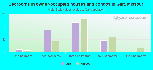 Bedrooms in owner-occupied houses and condos in Galt, Missouri