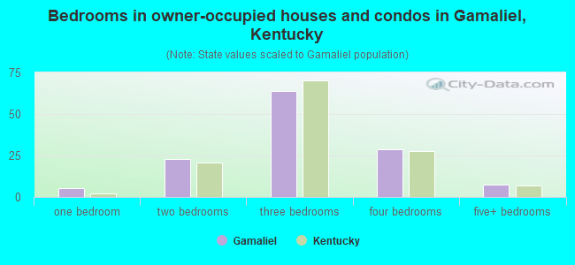 Bedrooms in owner-occupied houses and condos in Gamaliel, Kentucky