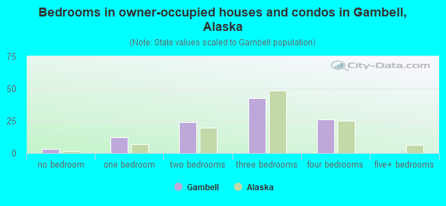 Bedrooms in owner-occupied houses and condos in Gambell, Alaska